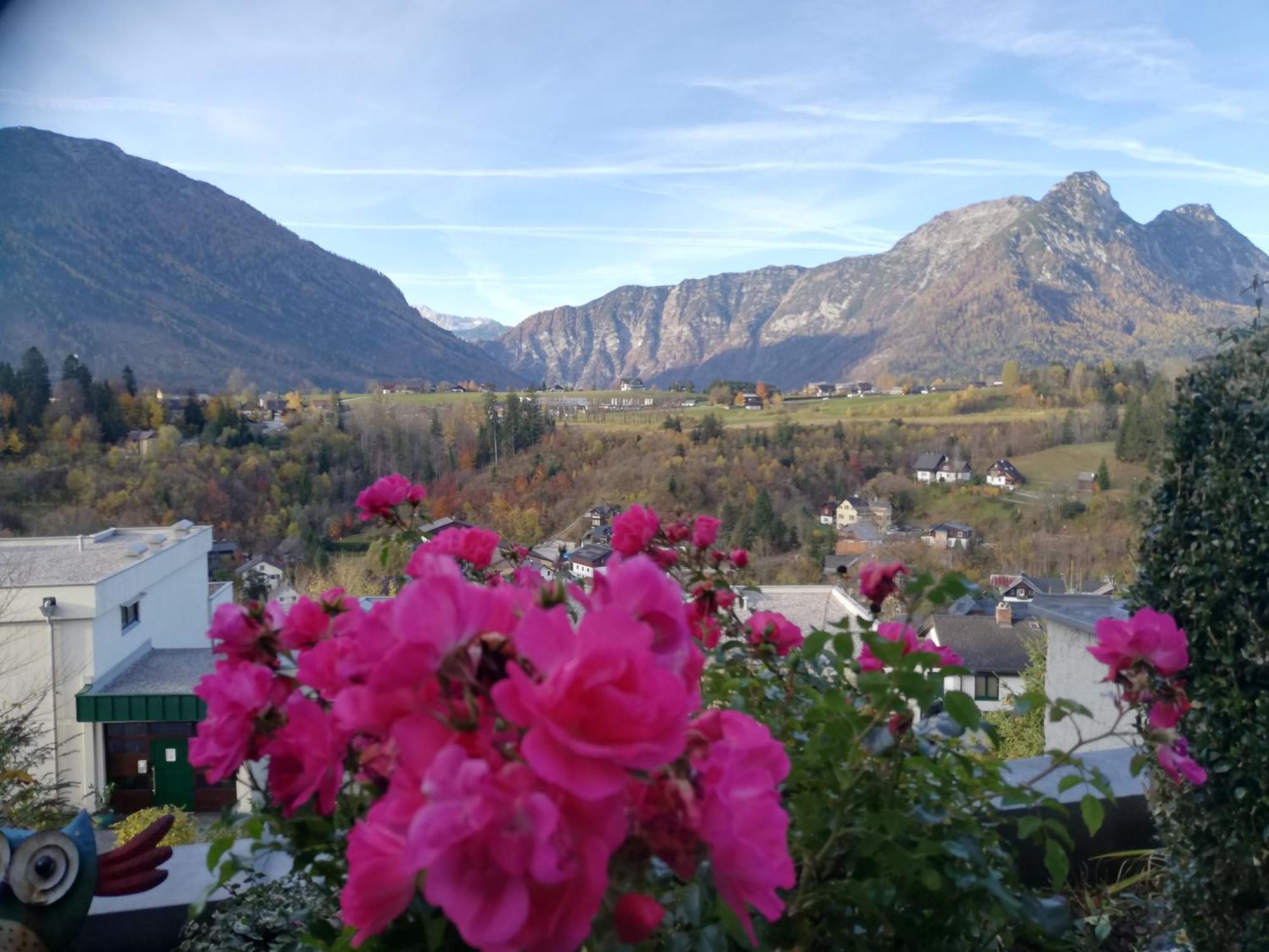 Ferienwohnung "Kaiserblick" 巴特奥塞 外观 照片