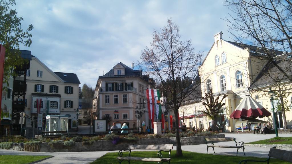 Ferienwohnung "Kaiserblick" 巴特奥塞 外观 照片
