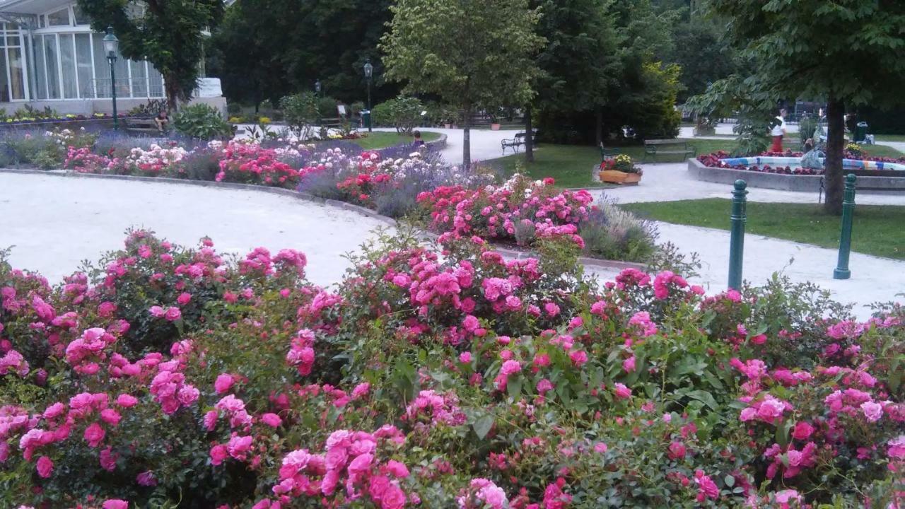 Ferienwohnung "Kaiserblick" 巴特奥塞 外观 照片