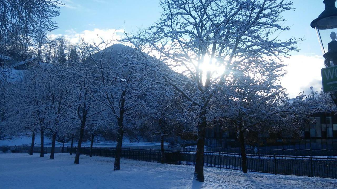 Ferienwohnung "Kaiserblick" 巴特奥塞 外观 照片